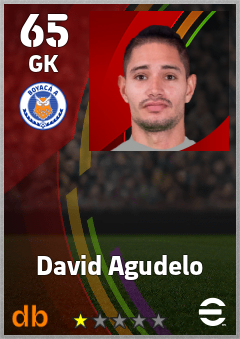 David Agudelo — GK, OVR 65, MAX 65