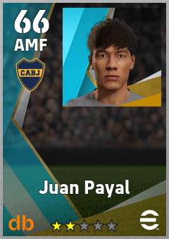Juan Payal — AMF, OVR 66, MAX 66