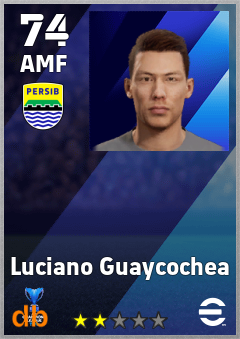 Luciano Guaycochea — AMF, OVR 74, MAX 74