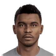 L. FERNANDES