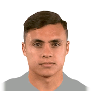 B. YAÑEZ