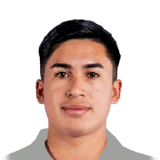 J. CASTRO