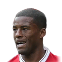 G. WIJNALDUM