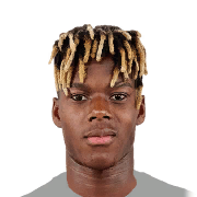 NICO WILLIAMS