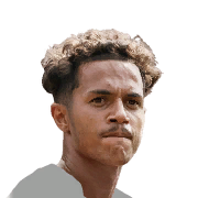 F. CARVALHO
