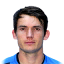M. DE ROON