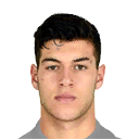P. PELLEGRI