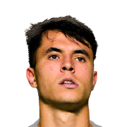 VINICIUS ZANOCELO