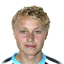 N. LEEMHUIS