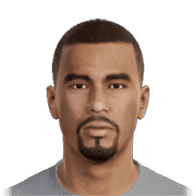 WELLITON PES 2013 portrait