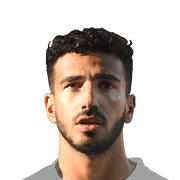 C. DEMİR