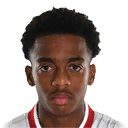 J. WILLOCK