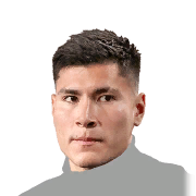 D. ROMERO
