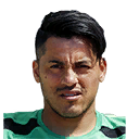 N. VELOSO
