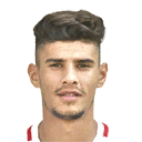 F. COMAN