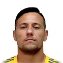 D. ALVES
